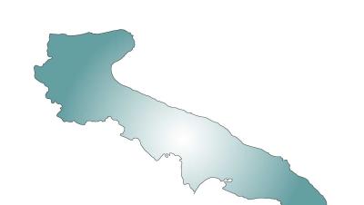 codereitalia it news 007