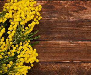 Festa della donna da Codere