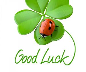 Codere Buona Fortuna