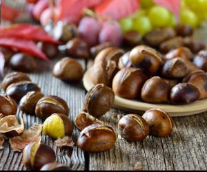 codereitalia it arrivano-le-castagne-n611 003
