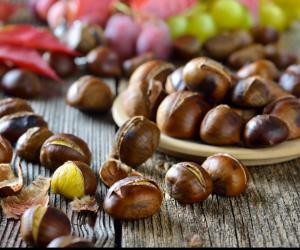 codereitalia it la-confettura-di-castagne-n612 003