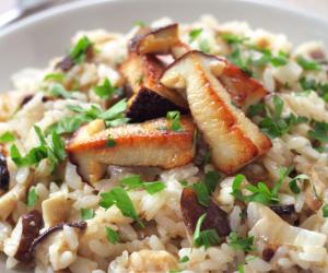 codereitalia it i-funghi-porcini-n715 003