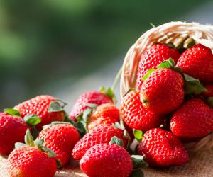 codereitalia it la-frutta-di-stagione-n781 003